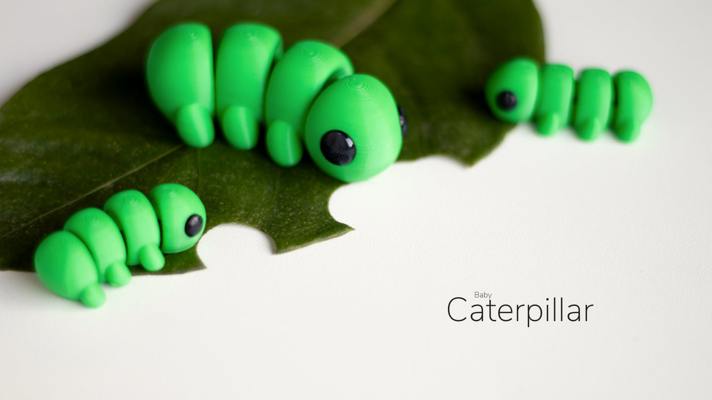 a close up of a green caterpillar on a leaf