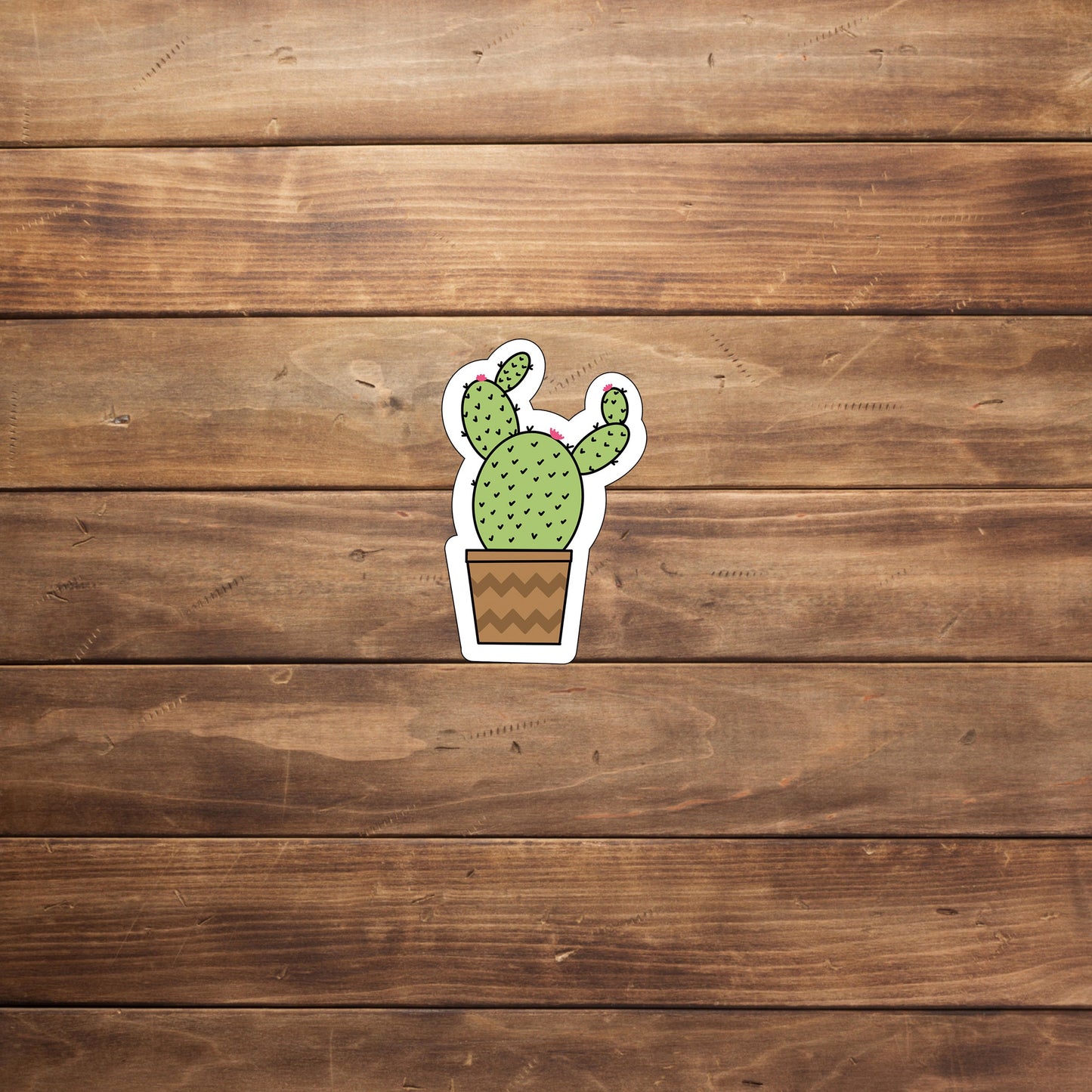 Cactus Sticker ,  Vinyl sticker,  laptop sticker