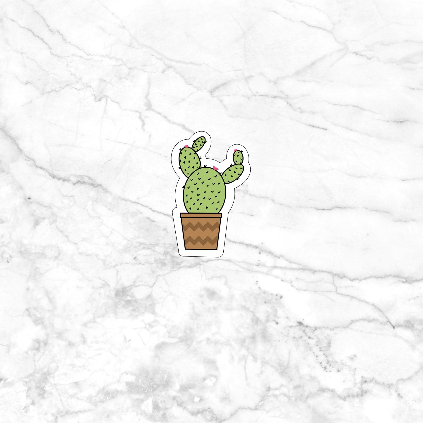 Cactus Sticker ,  Vinyl sticker,  laptop sticker